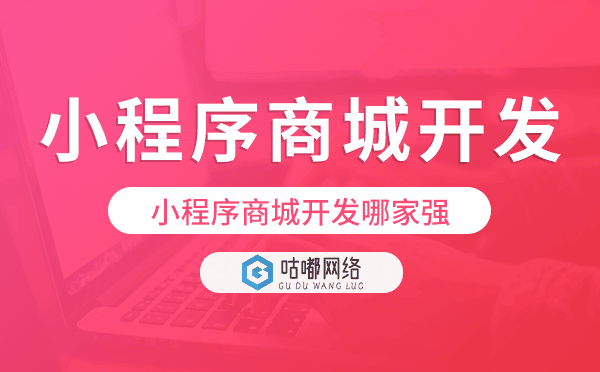 小程序商城開發(fā)哪家強,小程序商城開發(fā)公司.png