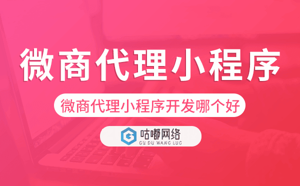 微商代理小程序開(kāi)發(fā)哪個(gè)好.png