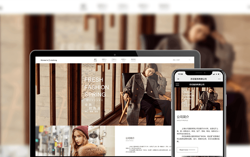 服飾網(wǎng)站建設(shè)案例