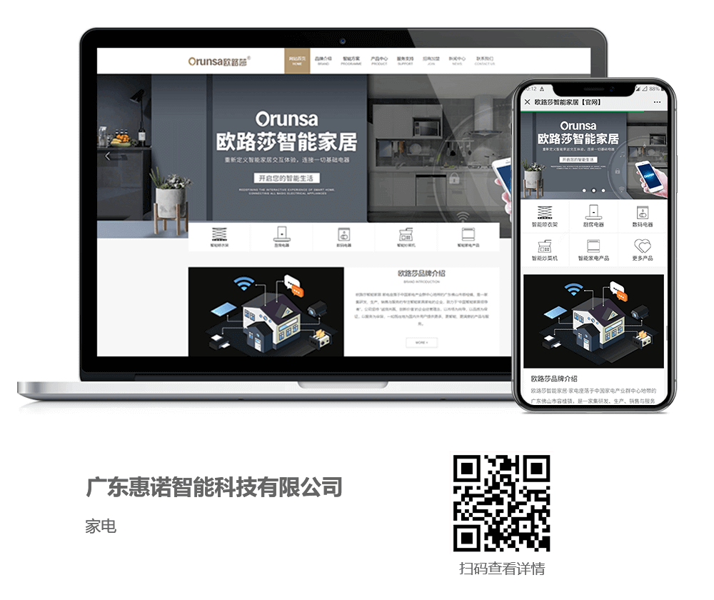 家電網站建設項目詳情