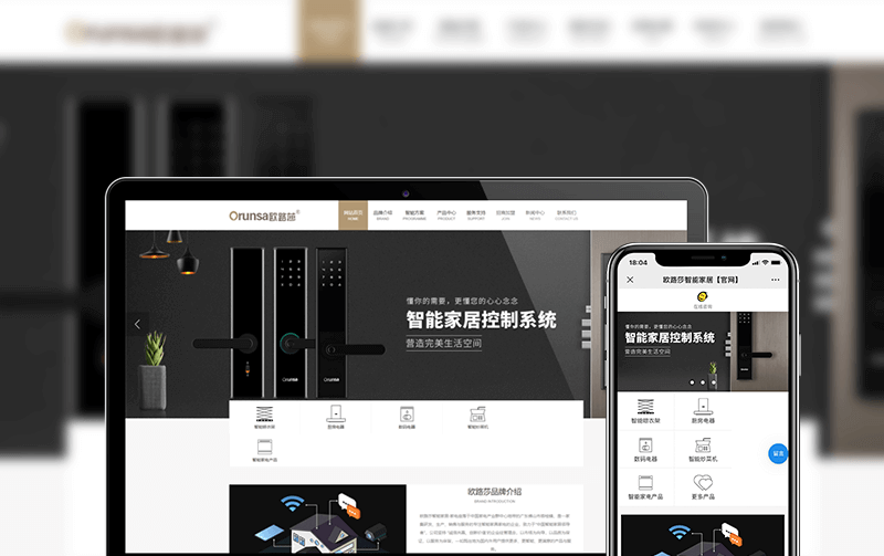 家電網(wǎng)站建設(shè)案例