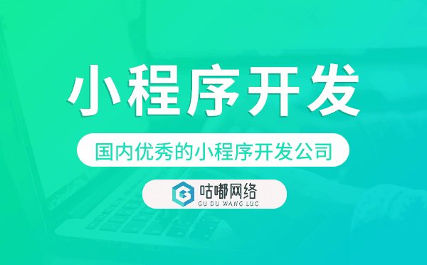 小程序開發(fā)商排名,國內(nèi)優(yōu)秀的小程序開發(fā)公司.png